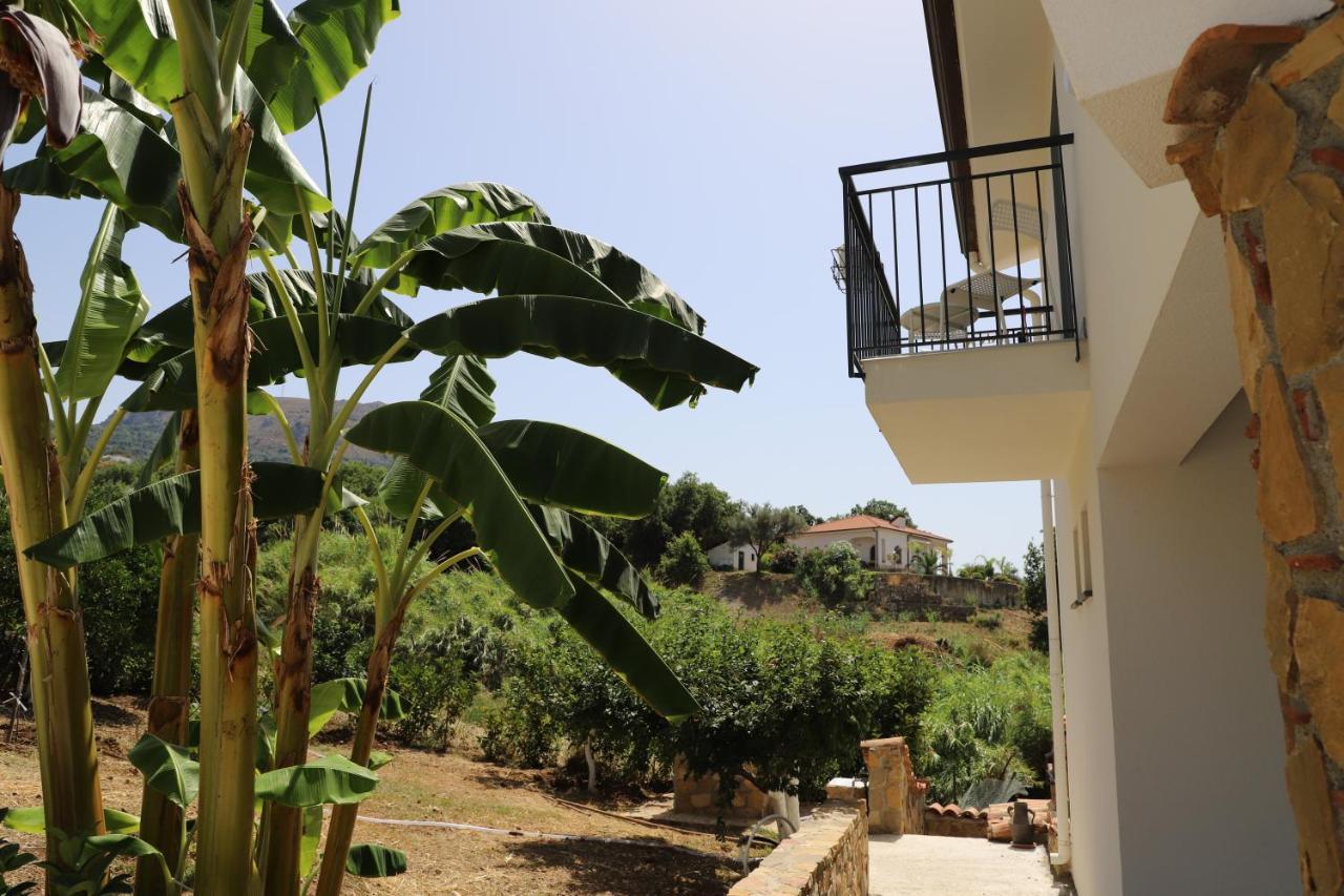 Assabinirica Bed & Breakfast Acquedolci Exterior foto